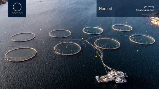 Thumbnail Norcod AS Quarterly Report 2024-q1