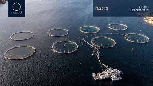 Thumbnail Norcod AS Quarterly Report 2024-q2