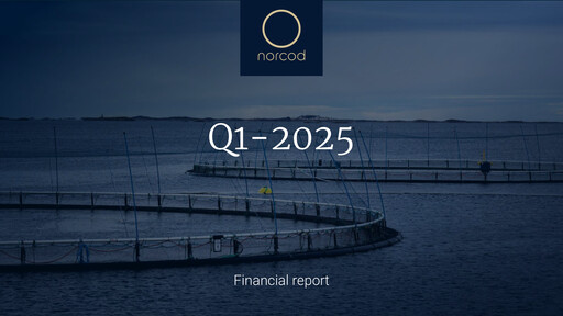 Thumbnail Norcod AS Quarterly Report 2025-q1