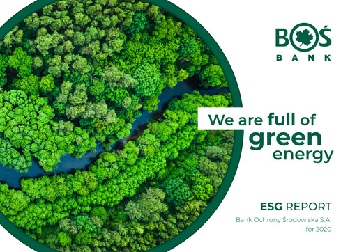 Thumbnail Bank Ochrony Srodowiska ESG Report 2020