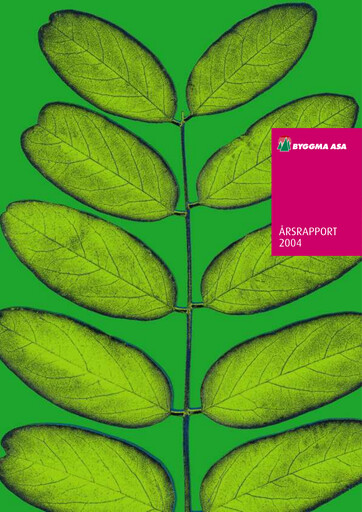 Miniature Byggma ASA Rapport annuel 2004