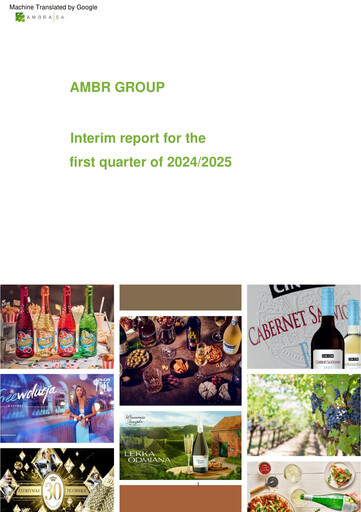 Thumbnail Ambra Quarterly Report 2024-2025-q1