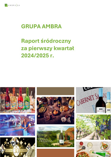 Thumbnail Ambra Quarterly Report 2024-2025-q1