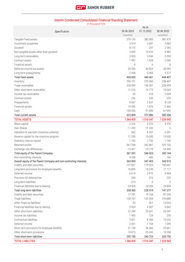 Thumbnail Sanok Rubber Company Financial Statement 2023-h1