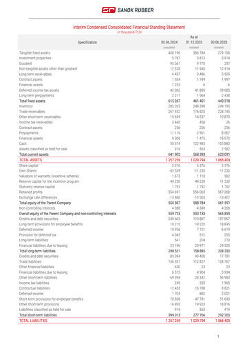 Thumbnail Sanok Rubber Company Financial Statement 2024-h1