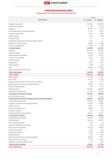 Thumbnail Sanok Rubber Company Financial Statement 2024