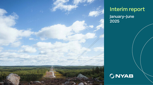 Thumbnail Nyab AB Half-year Report 2025-h1