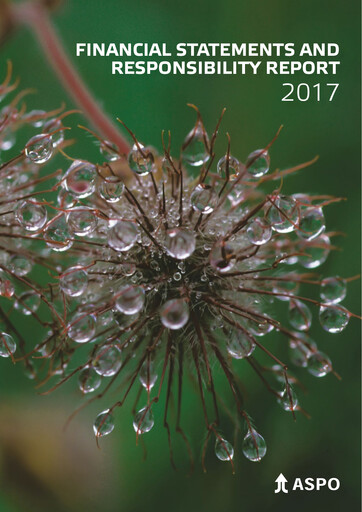 Thumbnail Aspo Oyj Financial Statement 2017