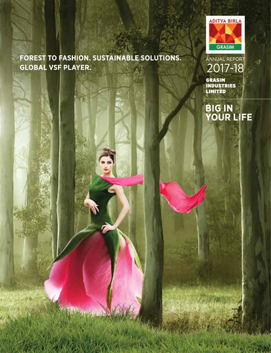 Thumbnail Grasim Industries
 Annual Report 2017-2018