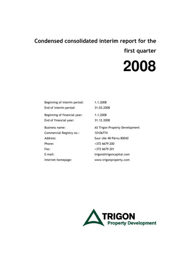 Miniature AS Trigon Property Development Rapport trimestriel 2008-q1