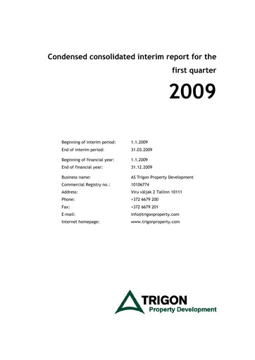 Miniature AS Trigon Property Development Rapport trimestriel 2009-q1
