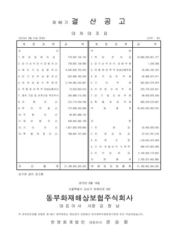 Thumbnail DB Insurance Financial Report 2012-2013
