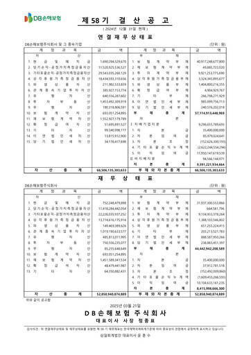 Thumbnail DB Insurance Financial Report 2024
