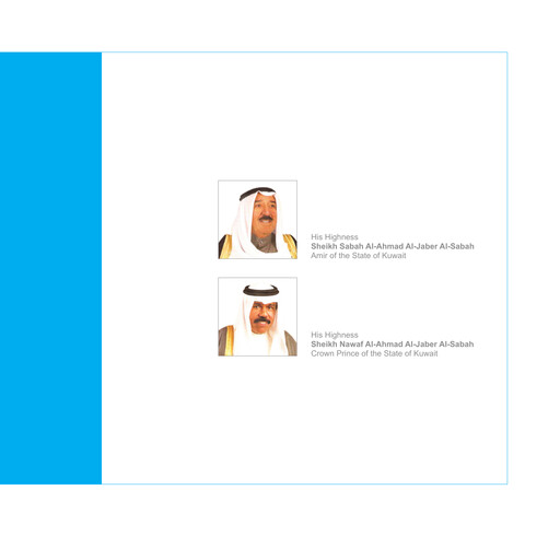 Miniature Al Soor Fuel Marketing Company K.S.C.P. Rapport annuel 2008