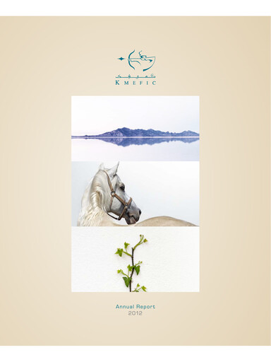 Thumbnail Kuwait and Middle East Financial Investment Company Annual Report 2012