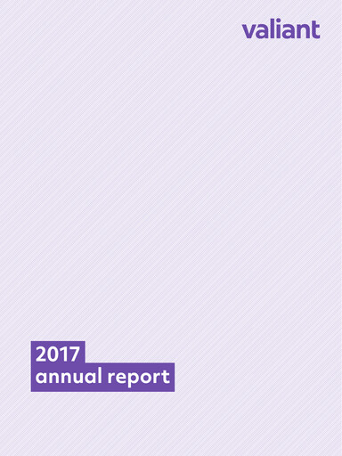 Thumbnail Valiant Holding Annual Report 2017