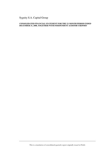 Miniature Sygnity Bilan financier 2008