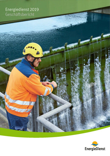 Thumbnail naturenergie holding Annual Report 2019