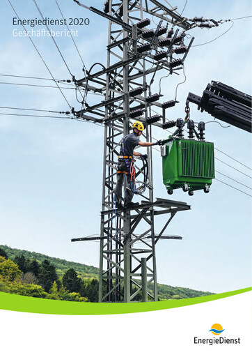 Thumbnail naturenergie holding Annual Report 2020