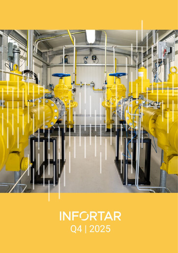 Miniature Infortar Rapport financier 2025