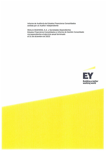 Miniature Realia Business Bilan financier 2023