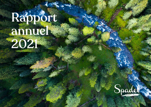 Vorschaubild Spadel Jahresbericht 2021