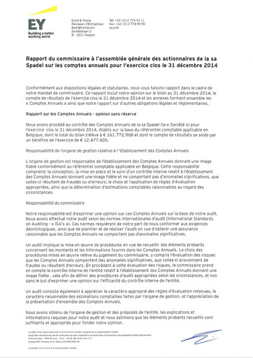 Miniature Spadel Bilan financier 2014