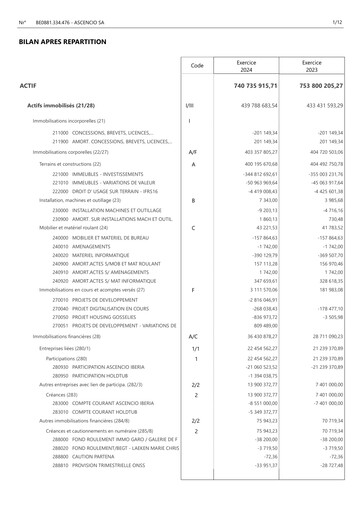 Miniature Ascencio Bilan financier 2024