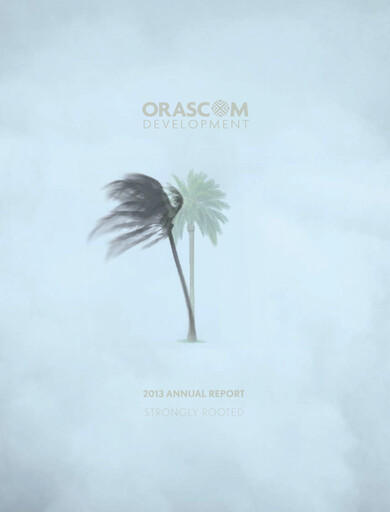 Thumbnail Orascom Development Annual Report 2013
