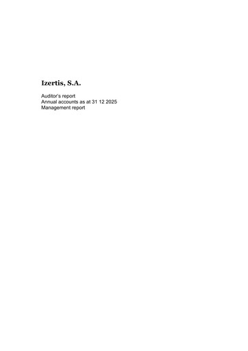Thumbnail izertis Financial Statement 2025