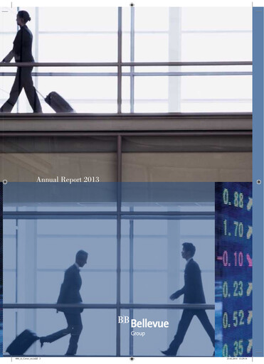 Thumbnail Bellevue Group Annual Report 2013