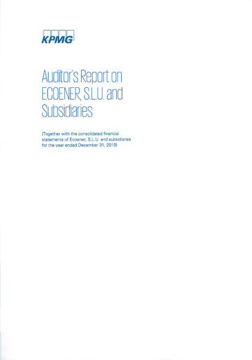 Thumbnail Ecoener Financial Statement 2019