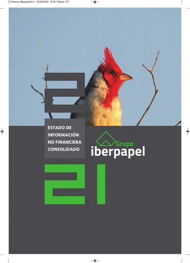 Thumbnail Iberpapel Gestión Sustainability Report 2021