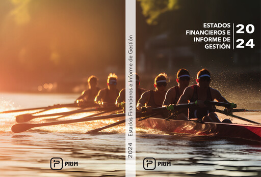 Thumbnail Prim, S.A. Financial Statement 2024