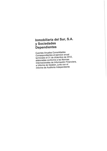 Thumbnail Inmobiliaria del Sur Financial Statement 2012