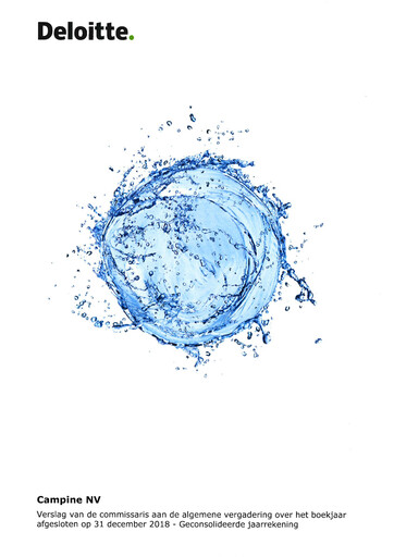 Thumbnail Campine Financial Statement 2018