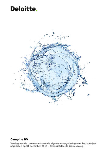 Thumbnail Campine Financial Statement 2019