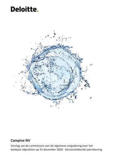 Thumbnail Campine Financial Statement 2020