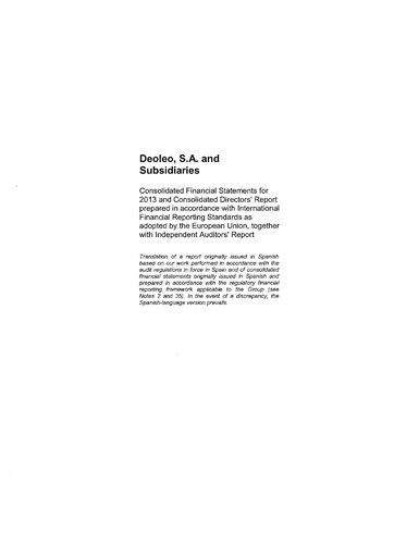 Thumbnail Deoleo Financial Statement 2013