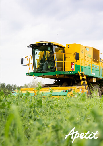 Thumbnail Apetit Oyj Half-year Report 2020-h1