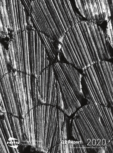 Thumbnail Hammond Power Solutions Quarterly Report 2020-q2