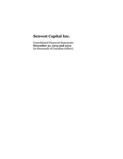 Thumbnail Senvest Capital Financial Statement 2013
