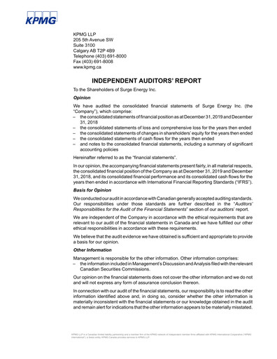 Thumbnail Surge Energy Financial Statement 2019