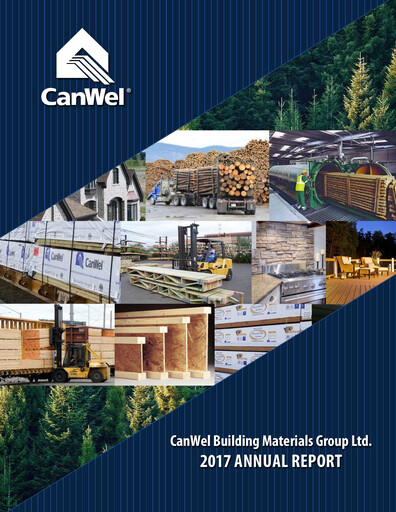 Thumbnail Doman Building Materials Group Annual Report 2017