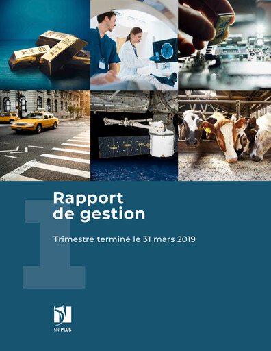 Thumbnail 5N Plus Financial Report 2019-q1