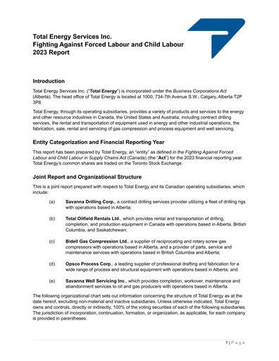 Thumbnail Total Energy Services ESG Report 2023
