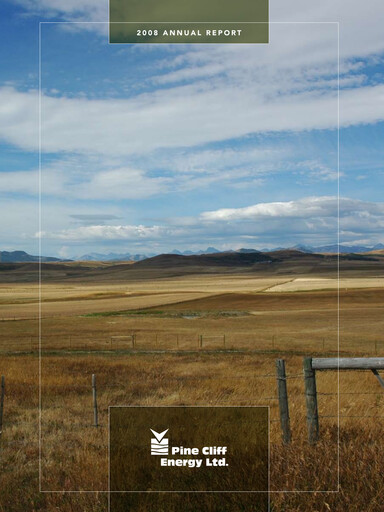 Thumbnail Pine Cliff Energy Annual Report 2008