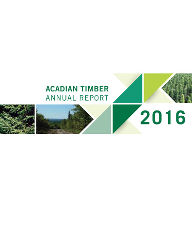 Vorschaubild Acadian Timber Jahresbericht 2016