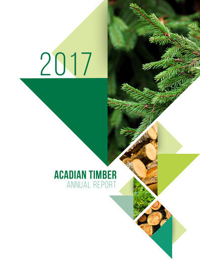 Vorschaubild Acadian Timber Jahresbericht 2017