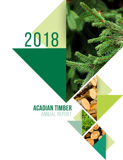 Vorschaubild Acadian Timber Jahresbericht 2018
